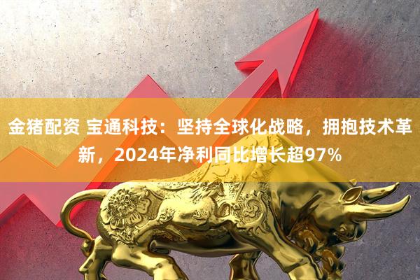 金猪配资 宝通科技：坚持全球化战略，拥抱技术革新，2024年净利同比增长超97%