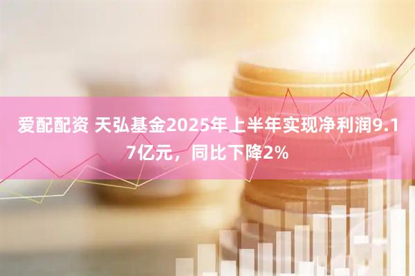 爱配配资 天弘基金2025年上半年实现净利润9.17亿元，同比下降2%
