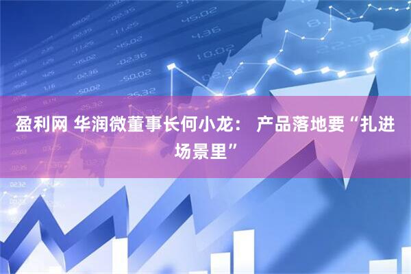 盈利网 华润微董事长何小龙： 产品落地要“扎进场景里”