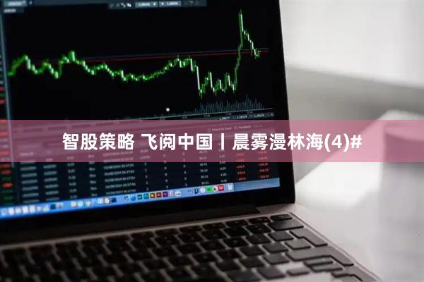 智股策略 飞阅中国丨晨雾漫林海(4)#